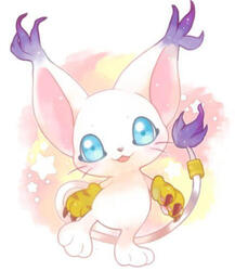 Gatomon Gatomon