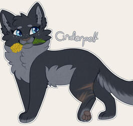 Cinderpelt